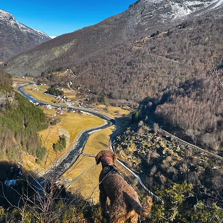 Gjorven Flam