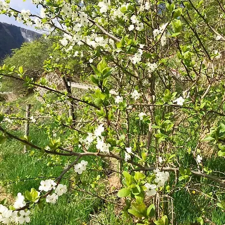 Dom wakacyjny Gjorven *