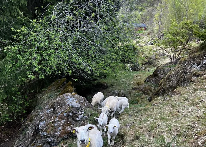 Gjorven * Flåm