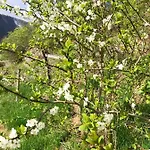 別荘 ギョールヴェン ヒュッター *