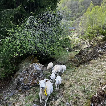 Gjorven * Flåm