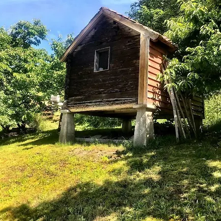 Gjorven Hébergement de vacances Flåm